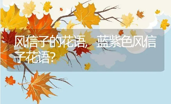 风信子的花语,蓝紫色风信子花语？ | 养殖常见问题