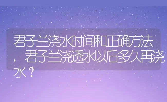 君子兰浇水时间和正确方法,君子兰浇透水以后多久再浇水？ | 养殖常见问题