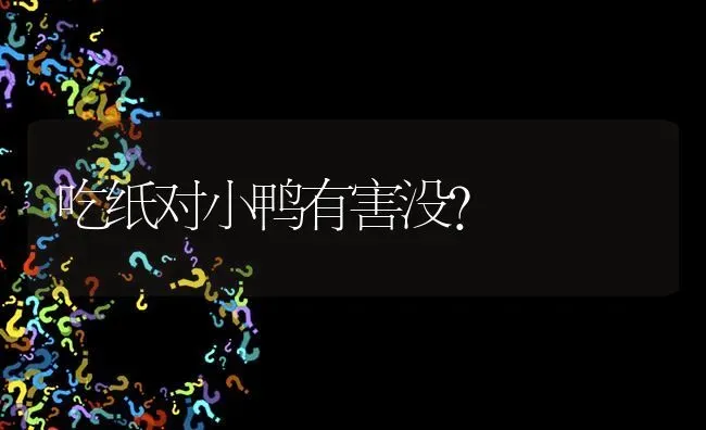 吃纸对小鸭有害没? | 养殖问题解答