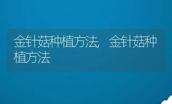 金针菇种植方法,金针菇种植方法 | 养殖常见问题