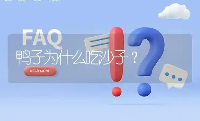 鸭子为什么吃沙子? | 养殖问题解答