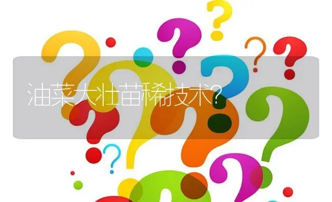 油菜大壮苗稀技术? | 养殖问题解答