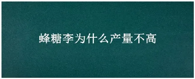 蜂糖李为什么产量不高 | 科普知识