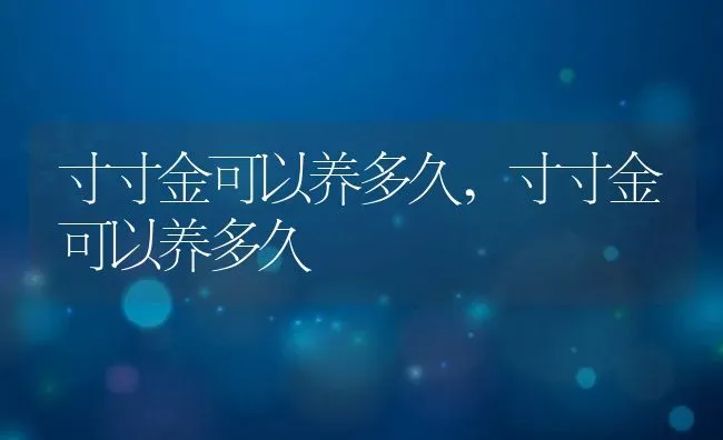 寸寸金可以养多久,寸寸金可以养多久 | 养殖常见问题