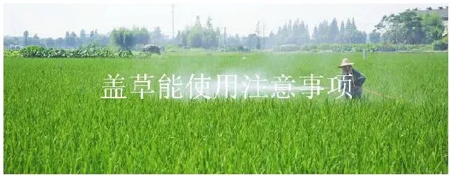 盖草能使用注意事项 | 农业常识