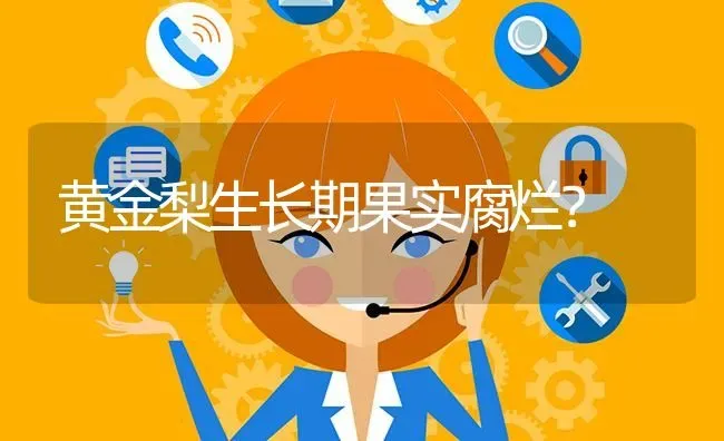 黄金梨生长期果实腐烂? | 养殖问题解答