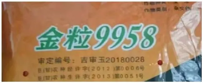 金粒9958玉米种子介绍 | 三农问答