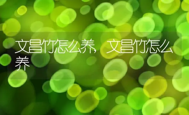 金玉满堂花的寓意是什么,金玉满堂是什么花？ | 养殖常见问题