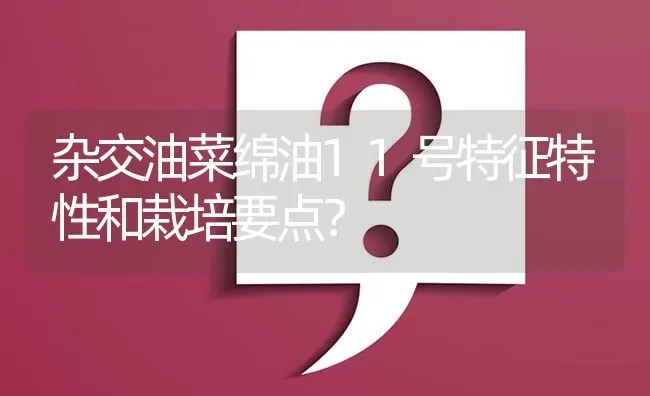 杂交油菜绵油11号特征特性和栽培要点? | 养殖问题解答