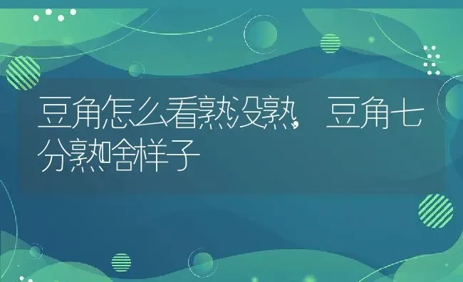 豆角怎么看熟没熟,豆角七分熟啥样子 | 养殖常见问题