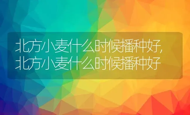 北方小麦什么时候播种好,北方小麦什么时候播种好 | 养殖常见问题