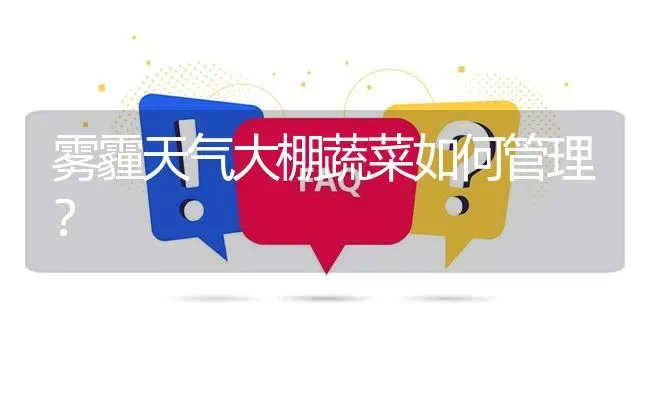 雾霾天气大棚蔬菜如何管理? | 养殖问题解答