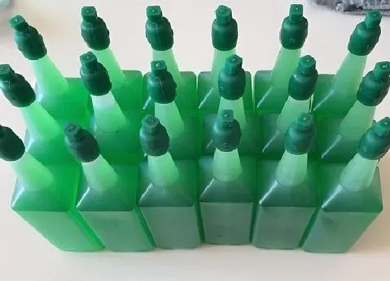植物常识问题|水培富贵竹都补充什么类型的营养液