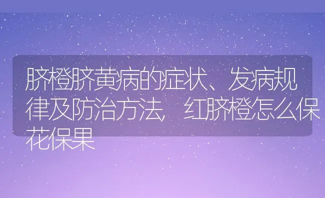 脐橙脐黄病的症状、发病规律及防治方法,红脐橙怎么保花保果 | 养殖常见问题