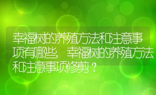 幸福树的养殖方法和注意事项有哪些,幸福树的养殖方法和注意事项修剪？ | 养殖常见问题