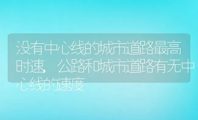 没有中心线的城市道路最高时速,公路和城市道路有无中心线的速度 | 养殖常见问题