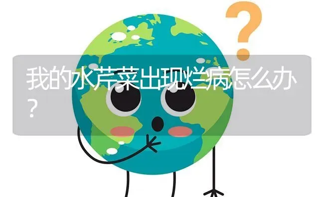 我的水芹菜出现烂病怎么办? | 养殖问题解答