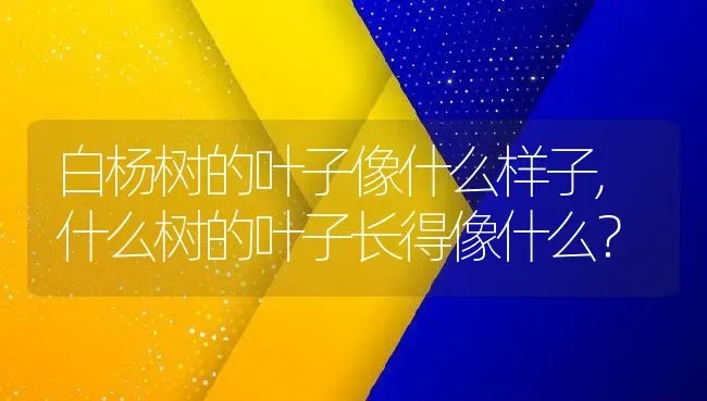 白杨树的叶子像什么样子,什么树的叶子长得像什么？ | 养殖常见问题