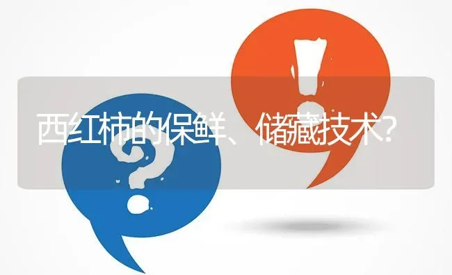西红柿的保鲜、储藏技术? | 养殖问题解答