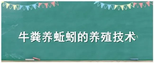 牛粪养蚯蚓的养殖技术 | 三农问答