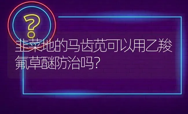 韭菜地的马齿苋可以用乙羧氟草醚防治吗? | 养殖问题解答