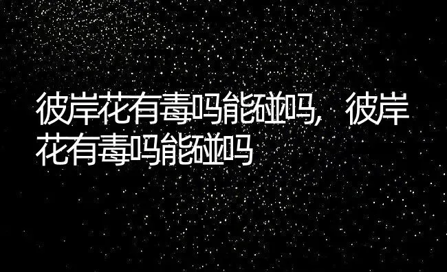 彼岸花有毒吗能碰吗,彼岸花有毒吗能碰吗 | 养殖常见问题