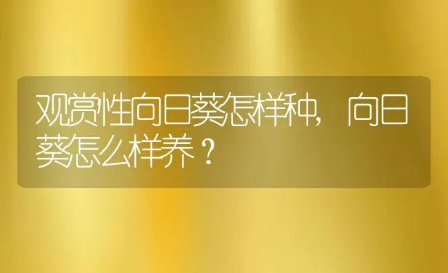 观赏性向日葵怎样种,向日葵怎么样养？ | 养殖常见问题