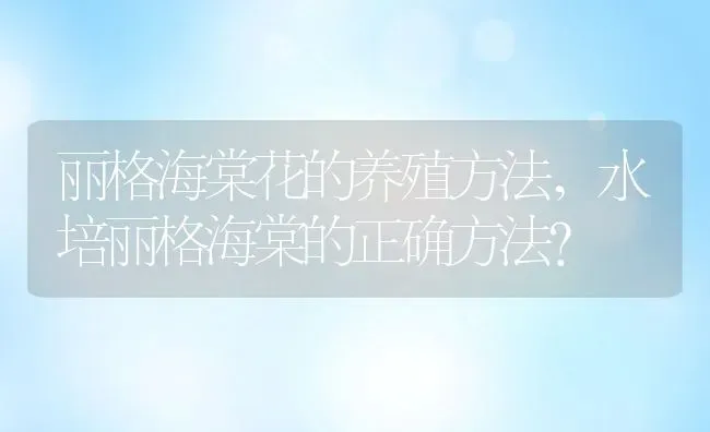 丽格海棠花的养殖方法,水培丽格海棠的正确方法？ | 养殖常见问题