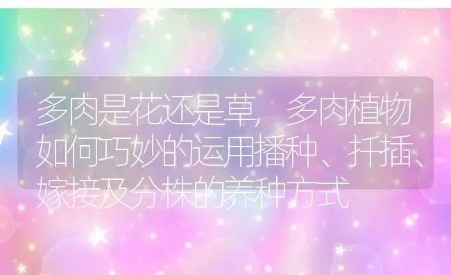 多肉是花还是草,多肉植物如何巧妙的运用播种、扦插、嫁接及分株的养种方式 | 养殖常见问题