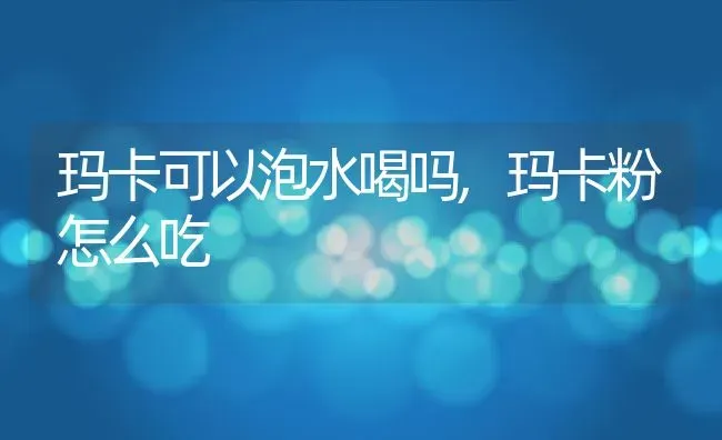 玛卡可以泡水喝吗,玛卡粉怎么吃 | 养殖常见问题