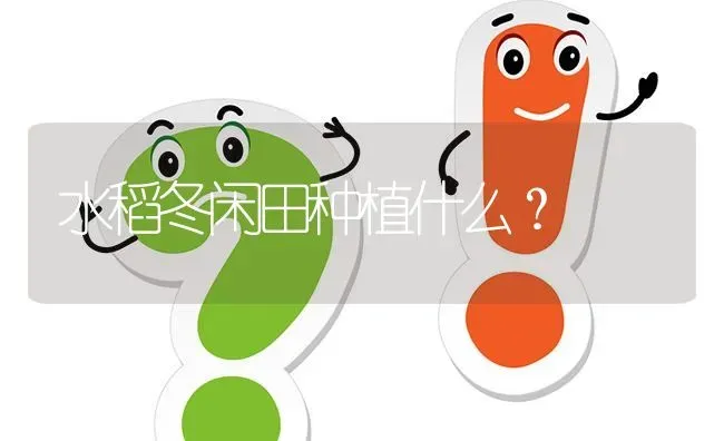 水稻冬闲田种植什么? | 养殖问题解答