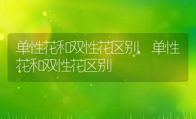 单性花和双性花区别,单性花和双性花区别 | 养殖常见问题