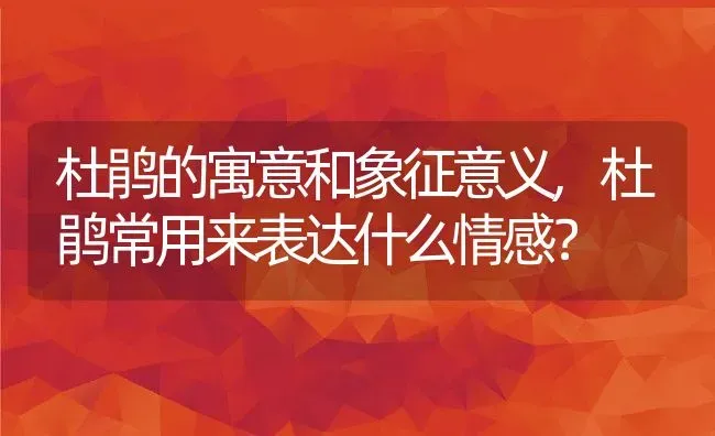 杜鹃的寓意和象征意义,杜鹃常用来表达什么情感？ | 养殖常见问题