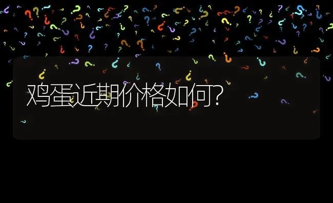 鸡蛋近期价格如何? | 养殖问题解答