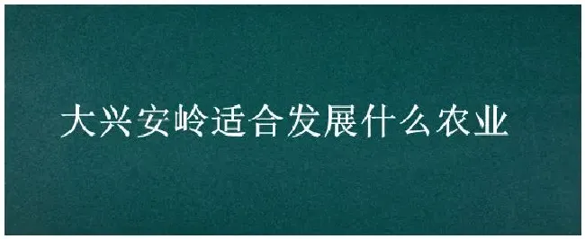 大兴安岭适合发展什么农业 | 农业答疑