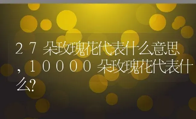 27朵玫瑰花代表什么意思,10000朵玫瑰花代表什么？ | 养殖常见问题