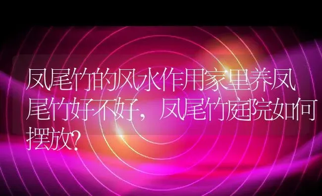 凤尾竹的风水作用家里养凤尾竹好不好,凤尾竹庭院如何摆放？ | 养殖常见问题