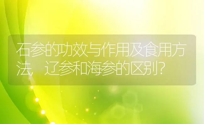 石参的功效与作用及食用方法,辽参和海参的区别？ | 养殖常见问题