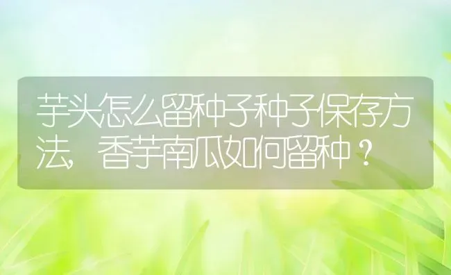 芋头怎么留种子种子保存方法,香芋南瓜如何留种？ | 养殖常见问题