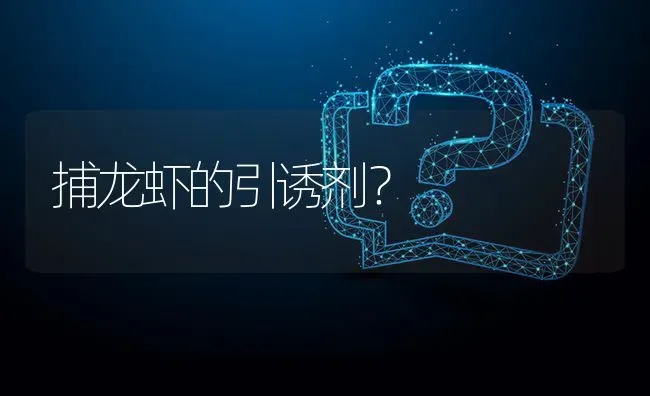 捕龙虾的引诱剂? | 养殖问题解答