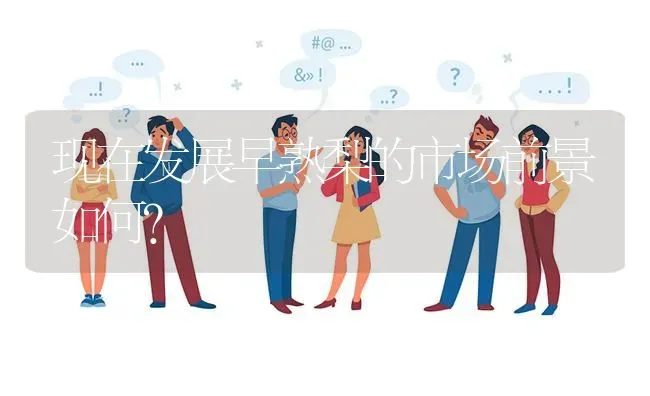 现在发展早熟梨的市场前景如何? | 养殖问题解答