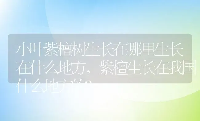 小叶紫檀树生长在哪里生长在什么地方,紫檀生长在我国什么地方的？ | 养殖常见问题