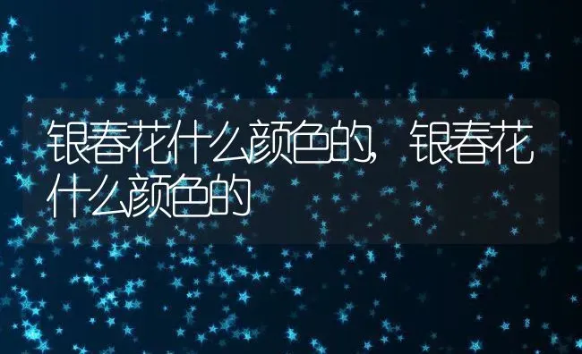 银春花什么颜色的,银春花什么颜色的 | 养殖常见问题