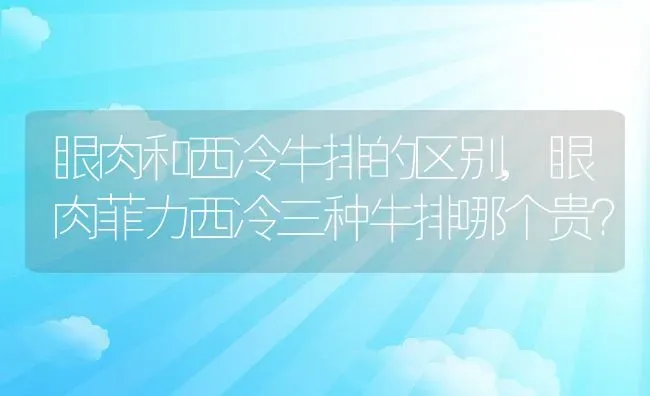 眼肉和西冷牛排的区别,眼肉菲力西冷三种牛排哪个贵？ | 养殖常见问题