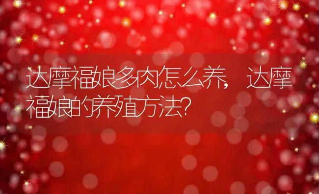 达摩福娘多肉怎么养,达摩福娘的养殖方法？ | 养殖常见问题