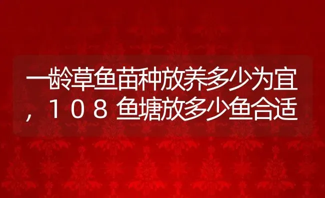 一龄草鱼苗种放养多少为宜,108鱼塘放多少鱼合适 | 养殖常见问题