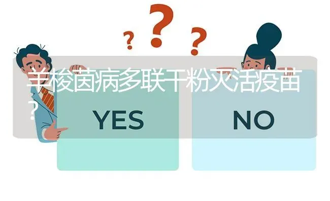 羊梭茵病多联干粉灭活疫苗? | 养殖问题解答