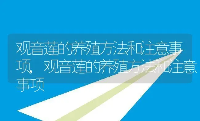 观音莲的养殖方法和注意事项,观音莲的养殖方法和注意事项 | 养殖常见问题