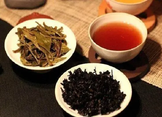 植物常识问题|普洱茶属于什么茶类型 属于红茶还是黑茶