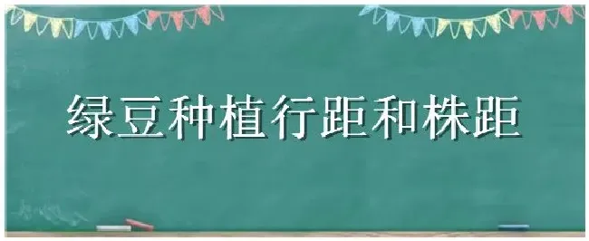 绿豆种植行距和株距 | 科普知识